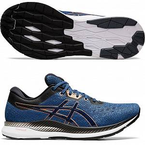 Кроссовки Asics Evoride 1011A792-400 SR