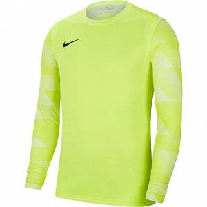 Свитер вратаря Nike Dry Park IV JSY Ls Gk CJ6072-702 JR