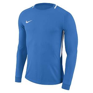 Свитер вратаря Nike Park III JSY Ls Gk 894516-406 JR