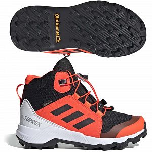 Ботинки Adidas Terrex Mid Gtx K FW9757 JR