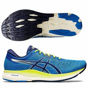 Кроссовки Asics Evoride 1011A792-401 SR